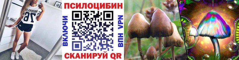 Псилоцибиновые грибы GOLDEN TEACHER  Боровск 
